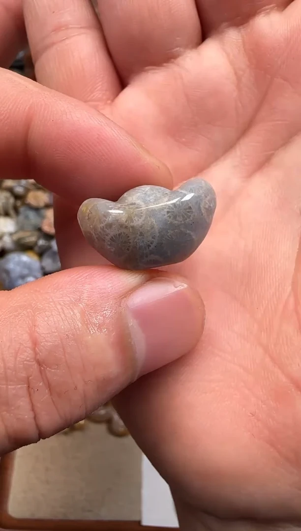 【闪购商品】硅化珊瑚（珊瑚玉）颈饰未镶嵌154