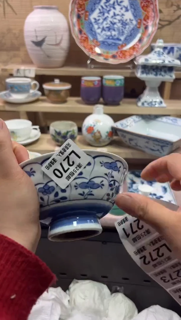 瓷片宁             L270