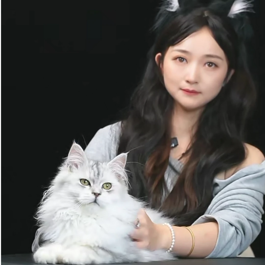 （钱多多宝姐家）T猫猫活体