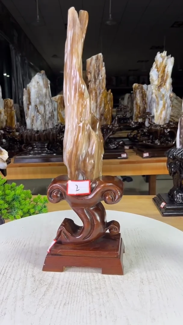 未镶嵌珠宝奇石硅化玉288