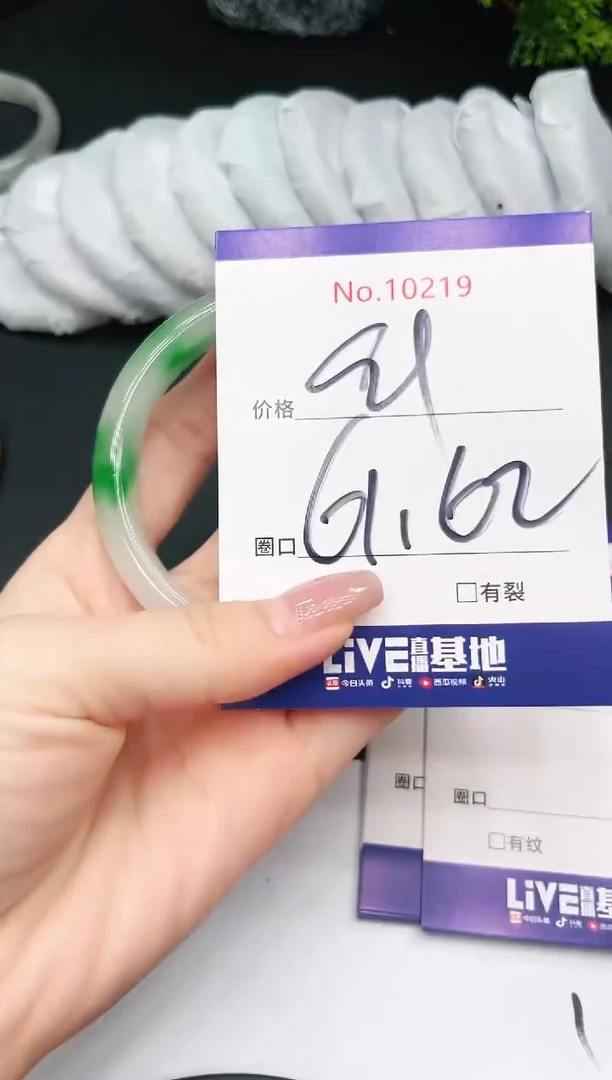 未镶嵌手镯翡翠10219