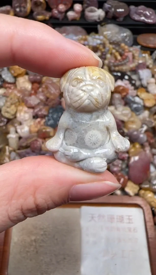 颈饰未镶嵌硅化珊瑚（珊瑚玉）498