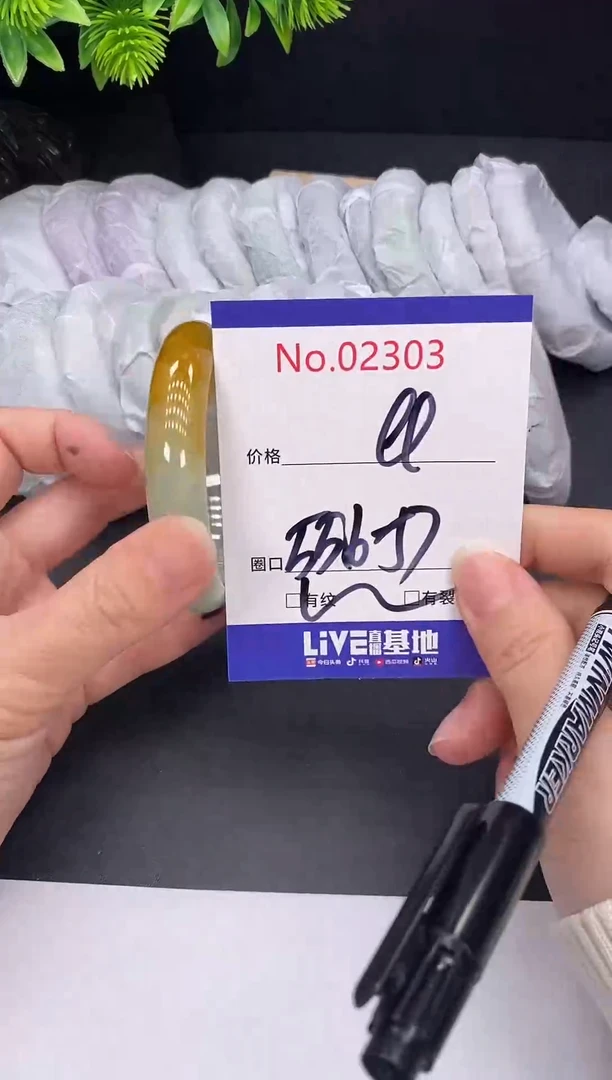 未镶嵌手镯翡翠2303