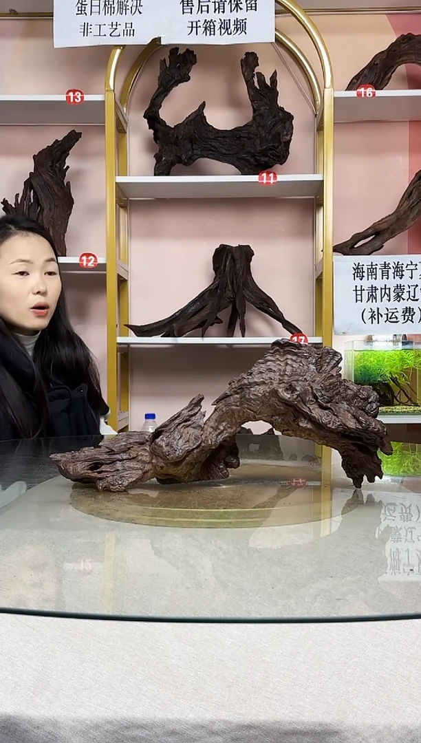 二**记紫柚木一物一拍A698