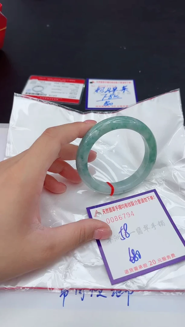 未镶嵌手镯翡翠1