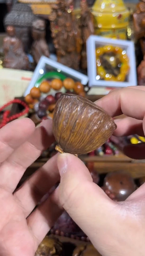 【闪购商品】黄杨木11111111111111111111