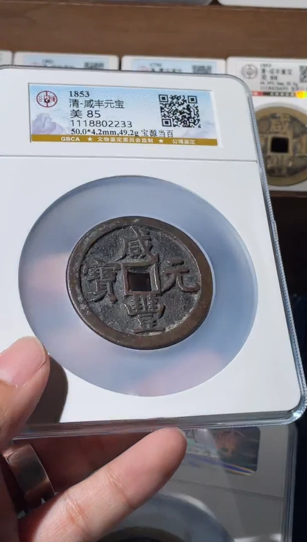 铜寒*雪咸丰宝源当百85