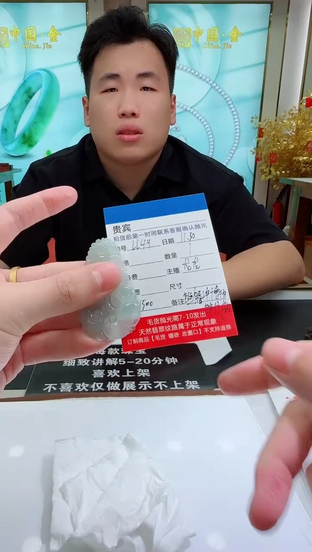 未镶嵌定制翡翠LL49翡翠吊坠赠珠链-多样性发其一