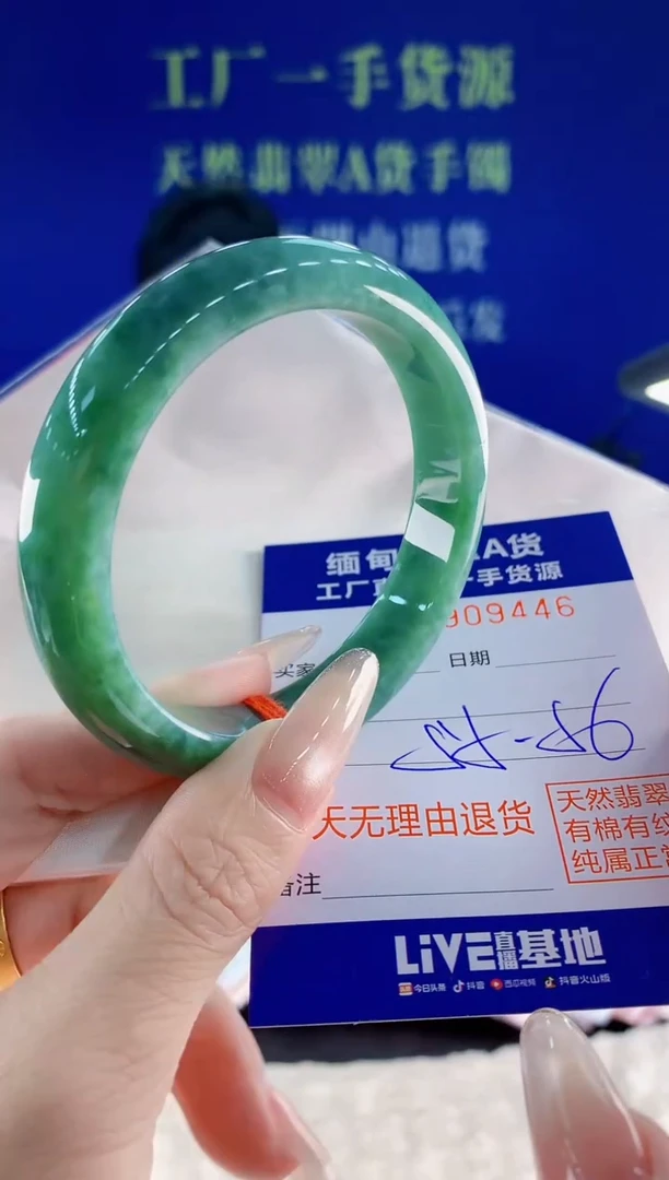 未镶嵌手镯翡翠46