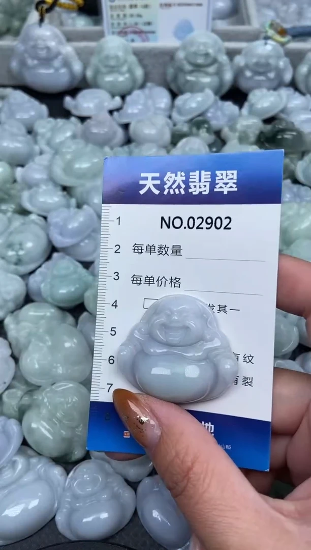 颈饰未镶嵌翡翠纯天然A货翡翠2902