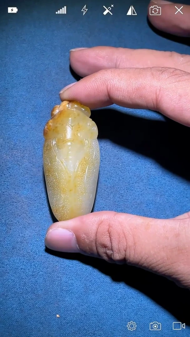 未镶嵌和田玉把件YX   一鸣惊人