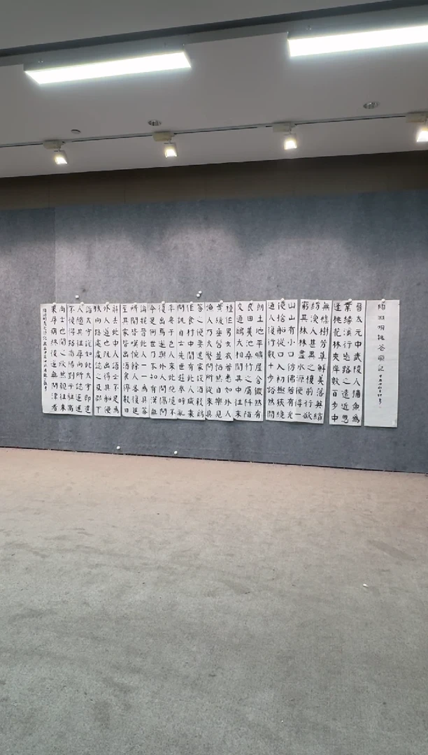 【闪购商品】书法pmw不二轩旗舰店国画ZY26