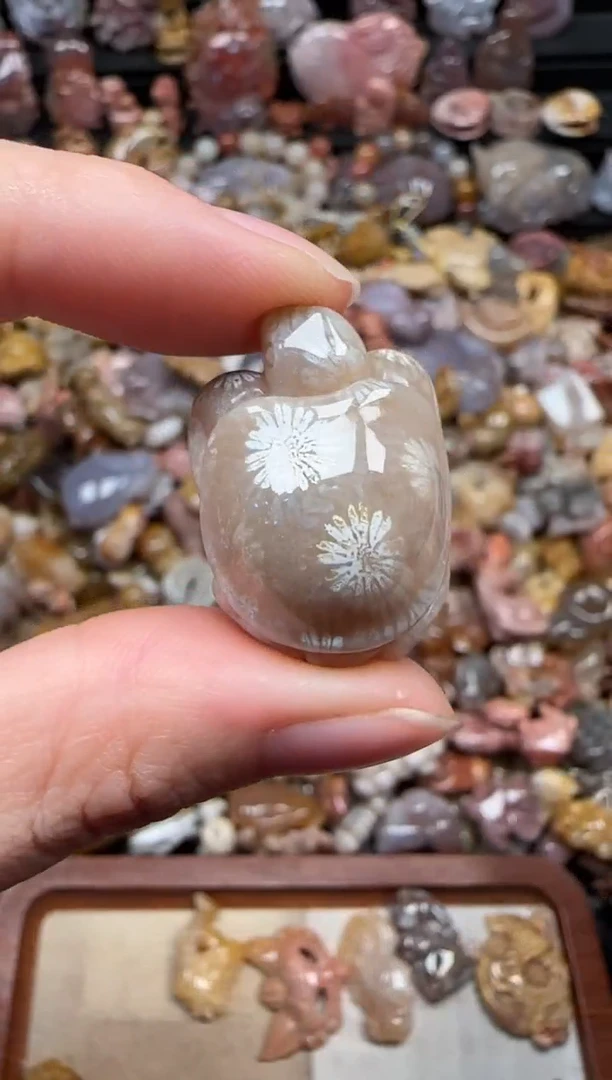 颈饰未镶嵌硅化珊瑚（珊瑚玉）379