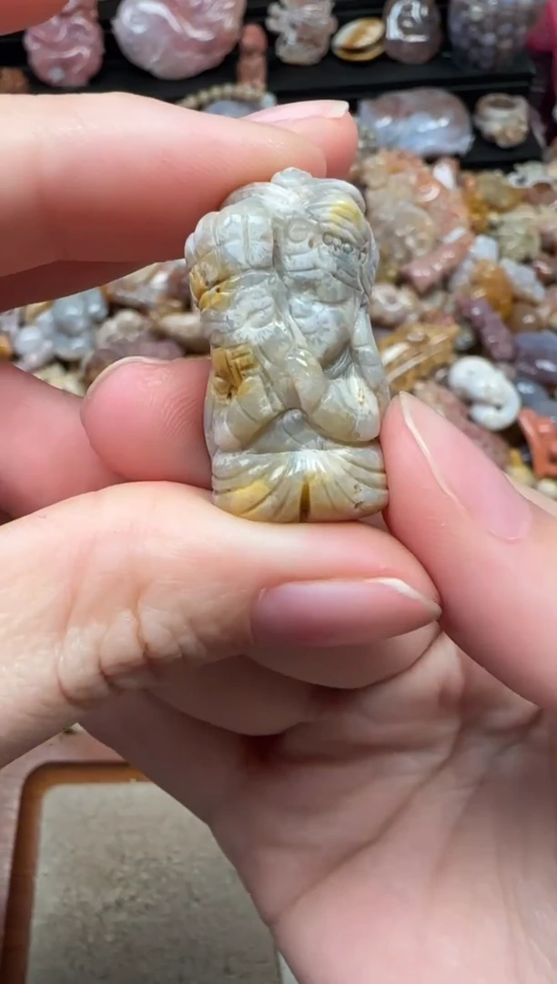 颈饰未镶嵌硅化珊瑚（珊瑚玉）766