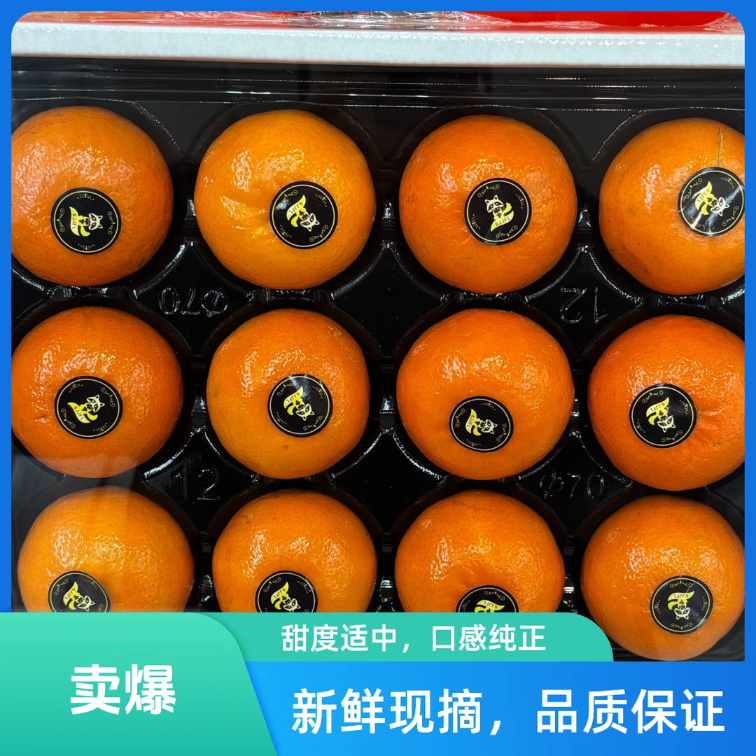 沃柑 礼盒 约7.5斤/箱（金狐狸）