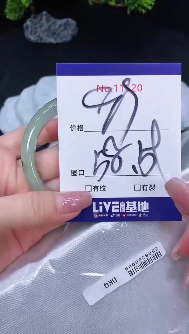 未镶嵌手镯翡翠11520