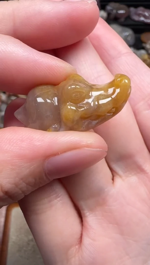 颈饰未镶嵌硅化珊瑚（珊瑚玉）419