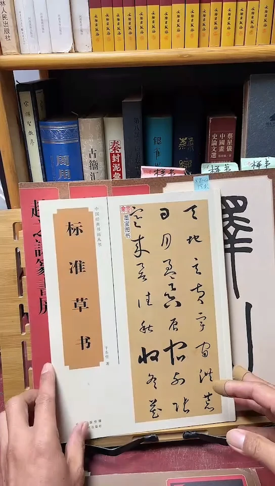 于右任标准草书 X8-4