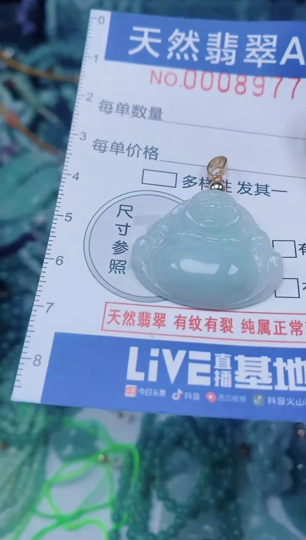 颈饰未镶嵌翡翠00008977