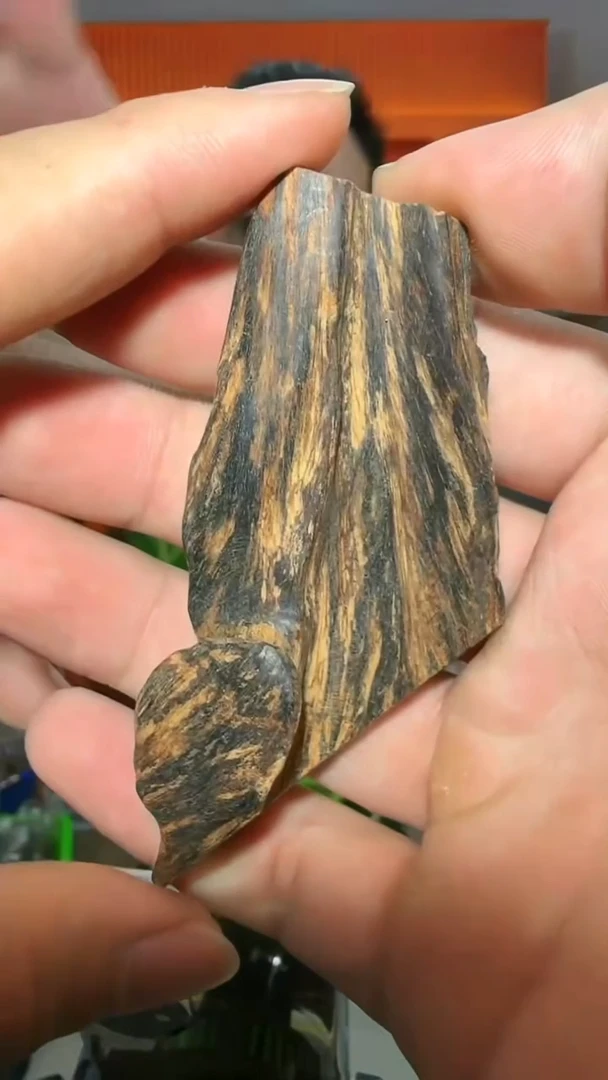 沉香手把件92号越南19g多样性发一
