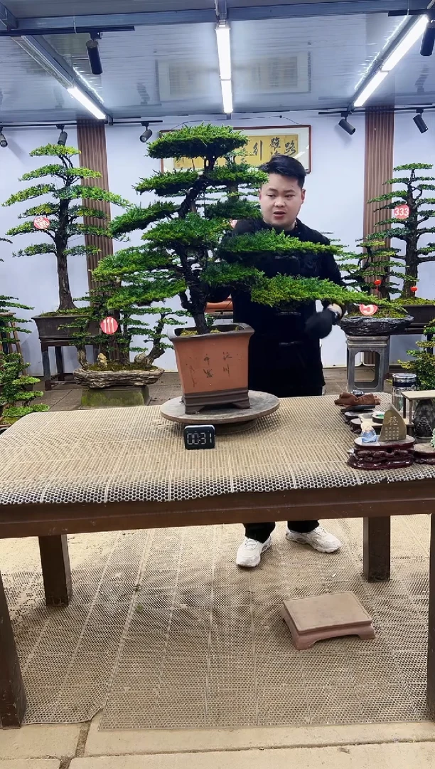 【闪购商品】00000000000