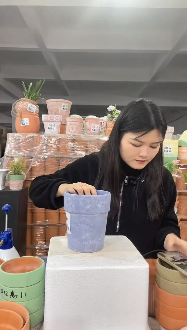 【闪购商品】红陶紫色向日葵14-16