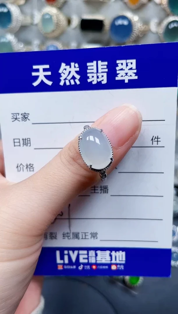 银S925镶嵌翡翠耳饰607