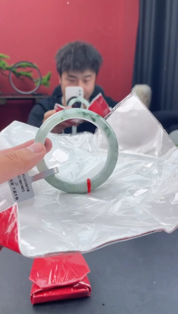 未镶嵌手镯翡翠5