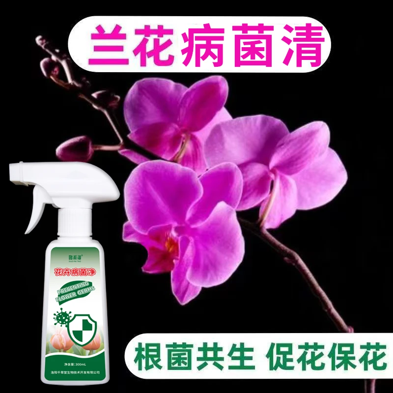 兰花专用营养液病菌净叶尖焦枯黑斑病锈斑病黑腐病白粉病烂根黄叶
