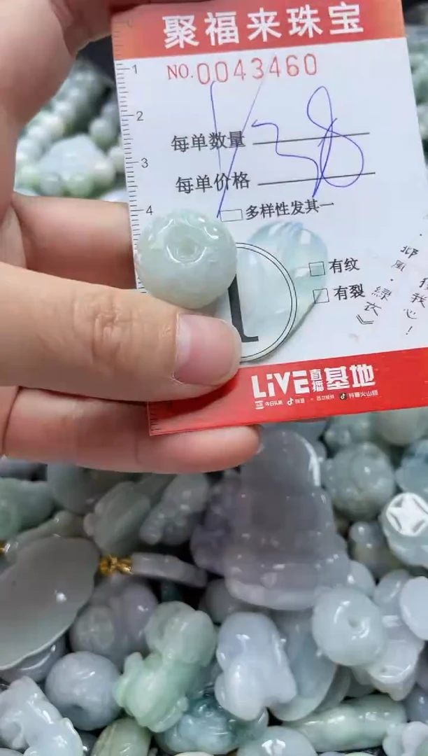 【闪购商品】翡翠颈饰未镶嵌闪购0043460多样性发其一