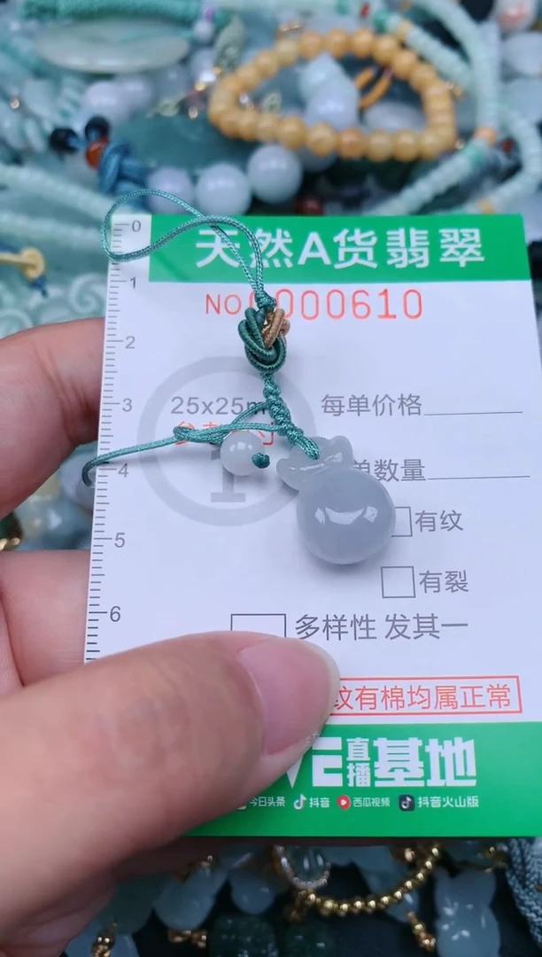 翡翠未镶嵌颈饰.0000610