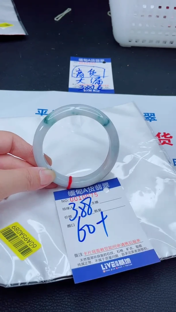 未镶嵌手镯翡翠我2