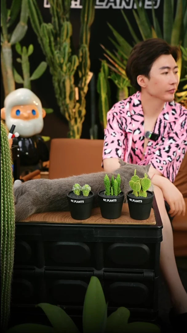 无花朵小小鸟（福利