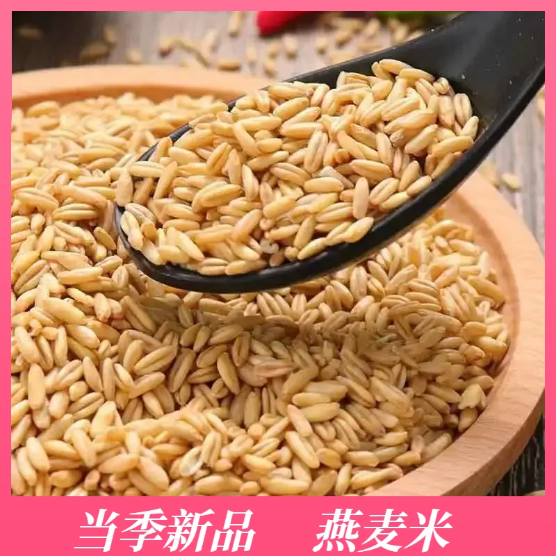 新货农家自种燕麦米荞麦米全胚芽燕麦五谷杂粮粗粮麦雀麦裸燕麦仁