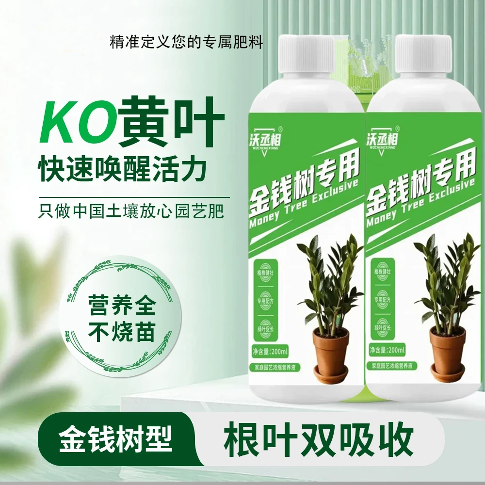 金钱树叶子枯黄掉叶专用营养液发财树肥料专用肥防黄叶落叶烂根