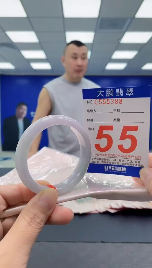 未镶嵌手镯翡翠AAAAAAAAAA