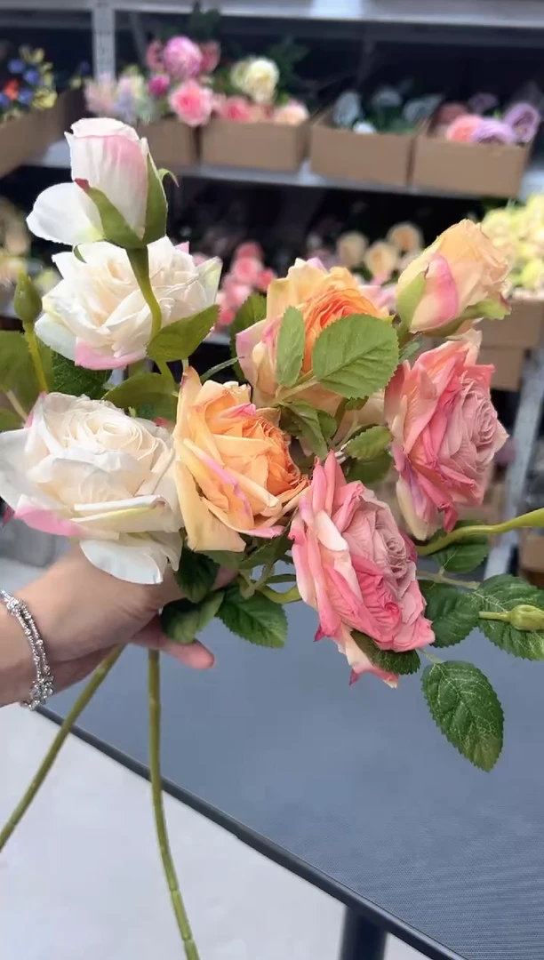 3枝混色焦边月季花