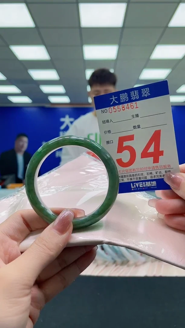 未镶嵌手镯翡翠AAAAAAAAAA