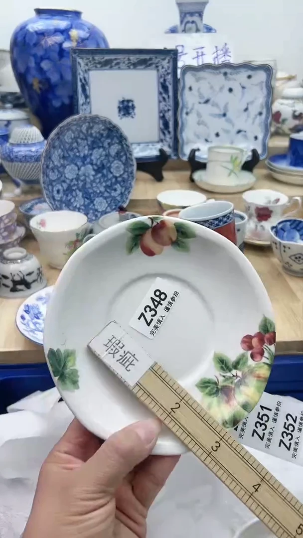 【闪购商品】瓷片348