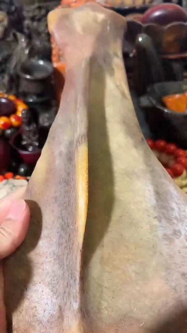 其他牛骨如图所示闪购链接