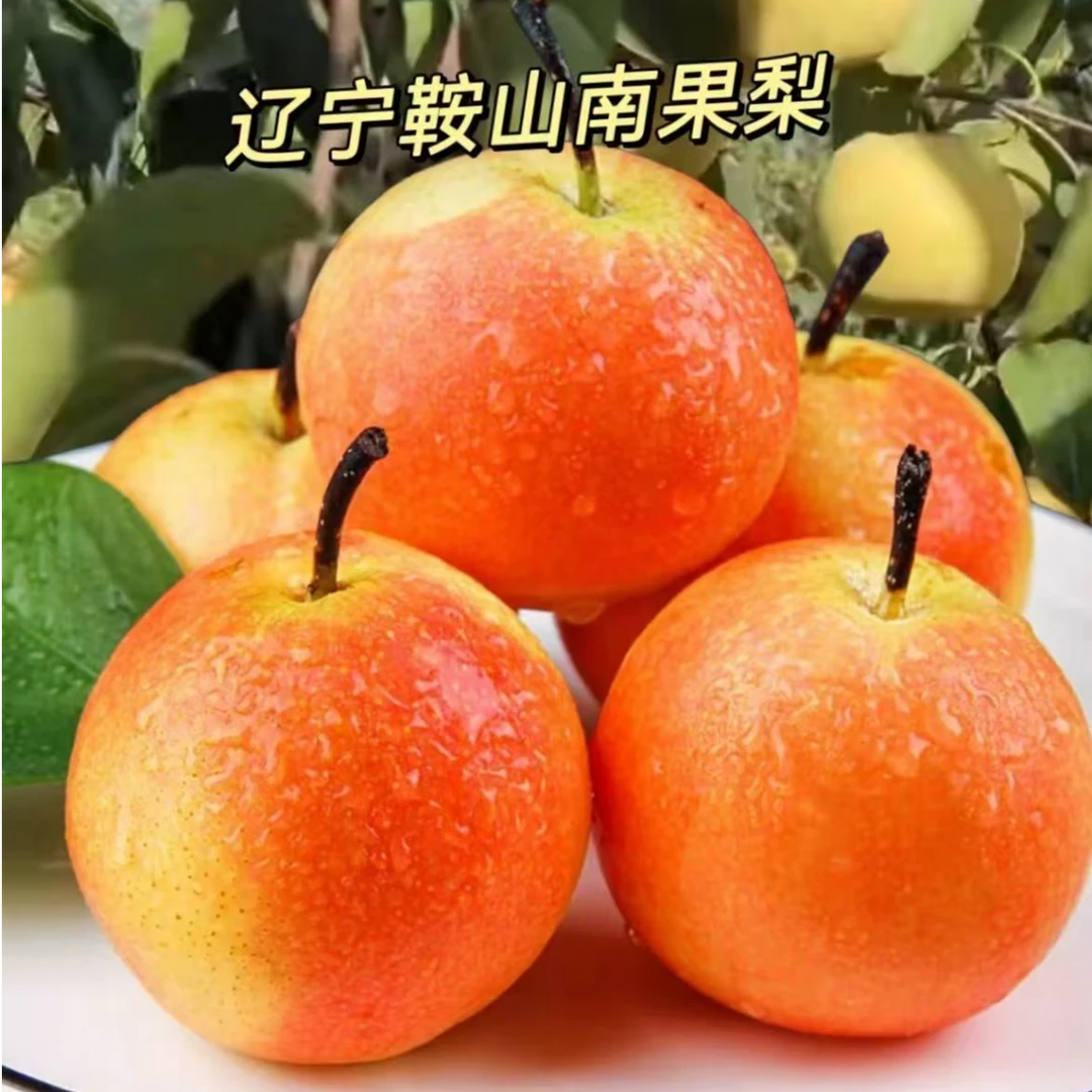 正宗鞍山南果梨东北特产新鲜水果薄皮酸甜多汁整箱包邮