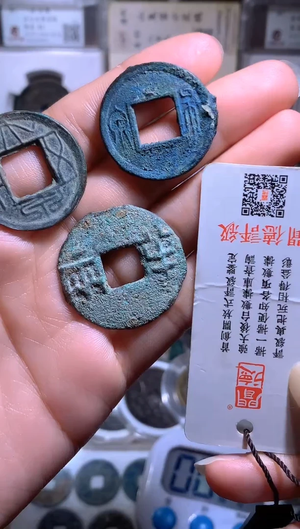 铜张**子钱缘/43/DQWS/BQ/QBL/W17