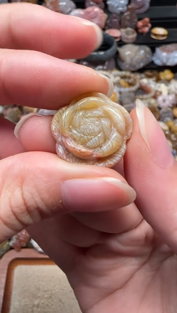 颈饰未镶嵌硅化珊瑚（珊瑚玉）319