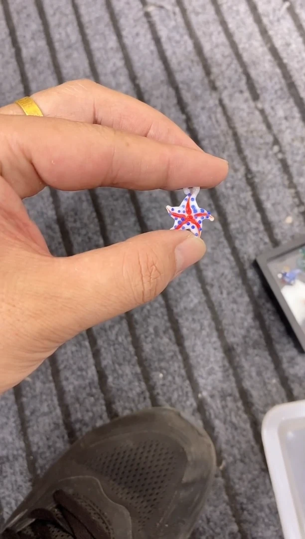 琉璃手工艺品p****q小海星
