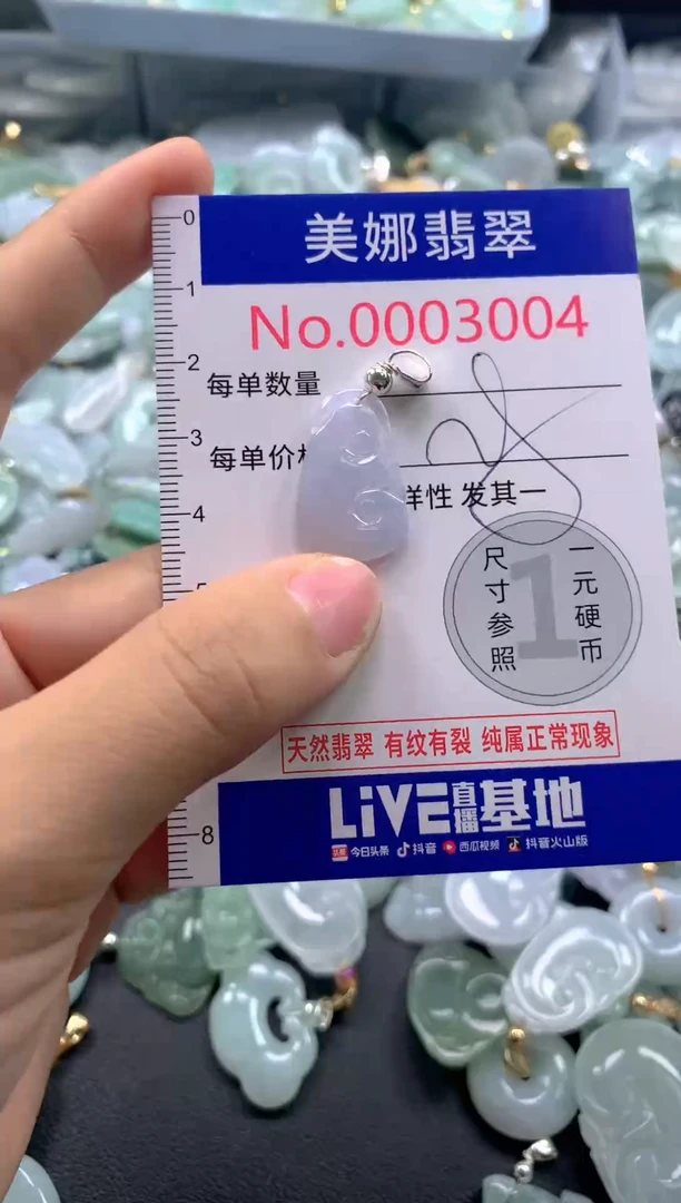颈饰未镶嵌翡翠3004