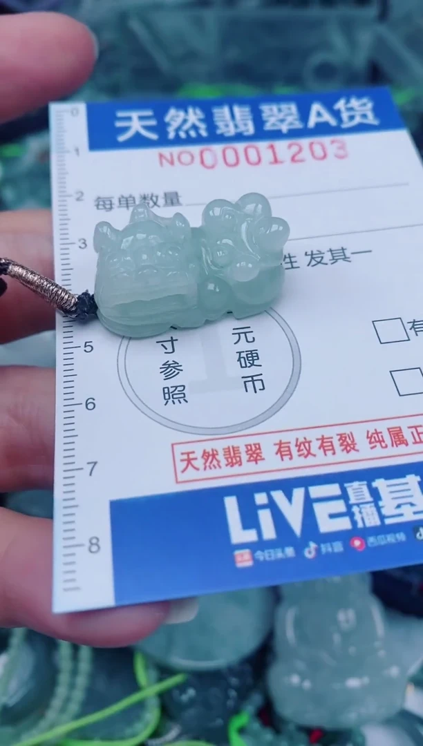 颈饰未镶嵌翡翠00001203