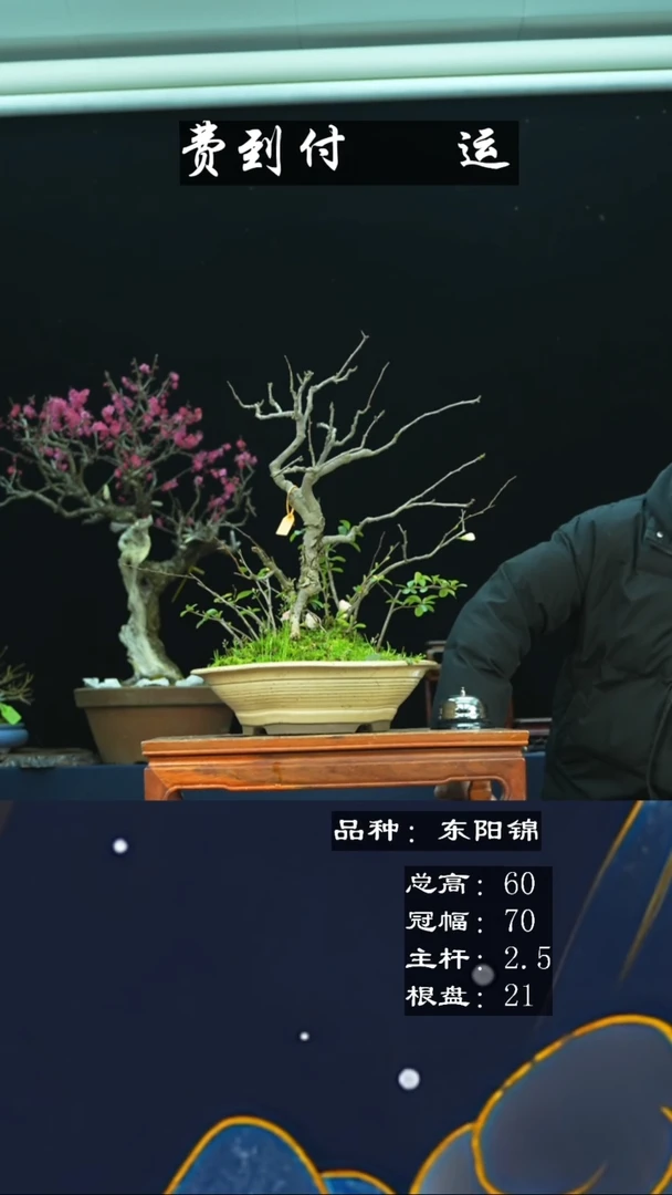 【闪购商品】无铅玻璃13049