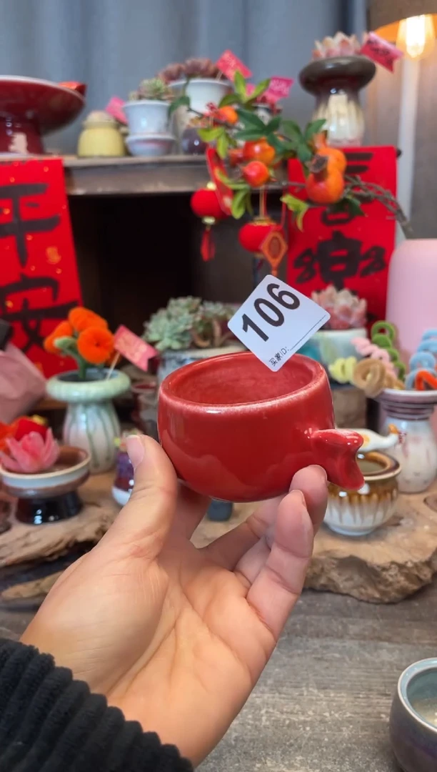 【闪购商品】摆件106知木小芳花盆