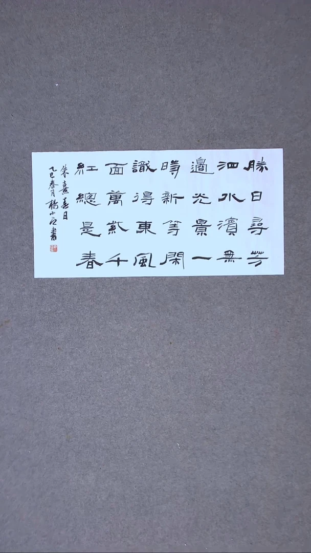 书法杨小立河南南阳69*34两平尺