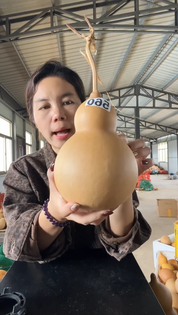 560天然葫芦摆件 一物一拍龙头不保售后